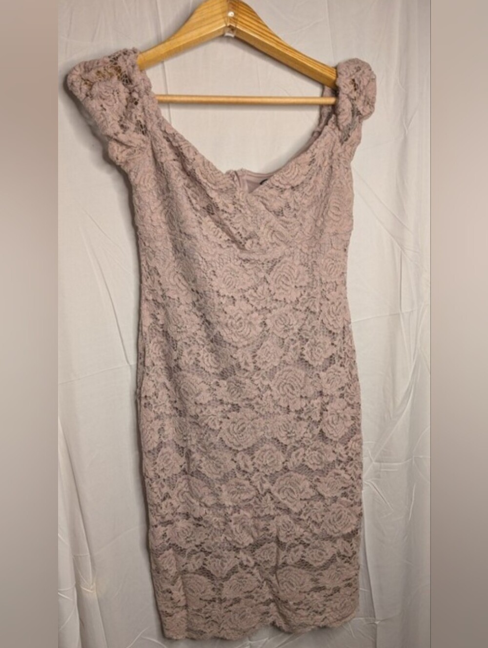 Express Blush Pink Floral Lace Bodycon Cocktail Dress Size 10